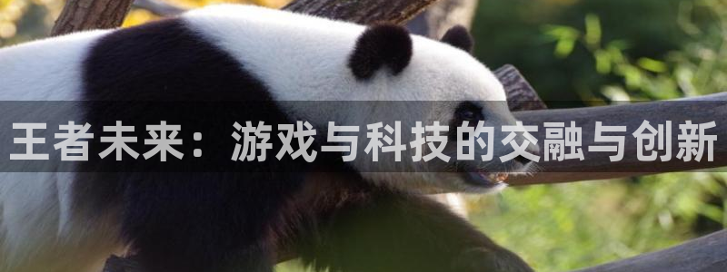 杏悦平台可靠吗：王者未来：游戏与科技的交融与创新