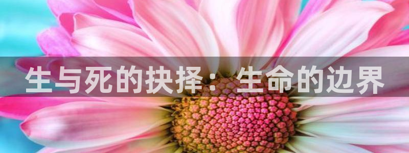 杏悦娱乐是什么平台的