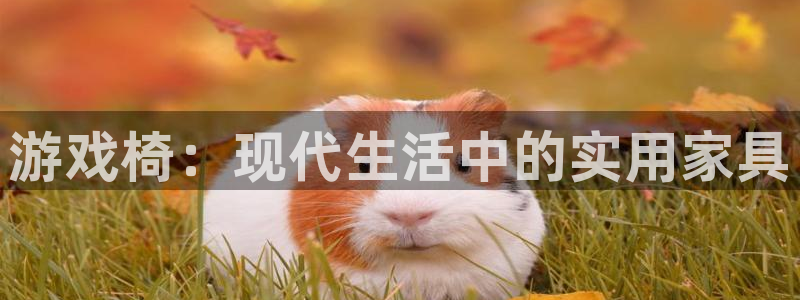 杏悦登陆路线