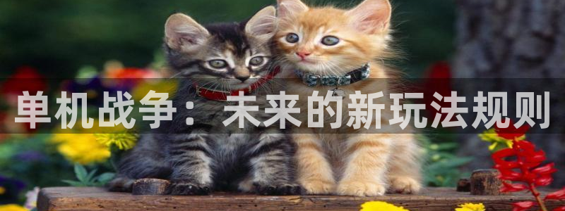 杏悦代理是正规品牌吗