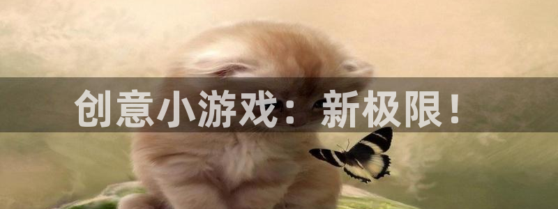 杏悦娱乐代理日最新版本更新内容：创意小游戏：新极限！