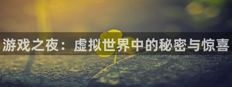 杏悦平台招商怎么样：游戏之夜：虚拟世界中的秘密与惊喜