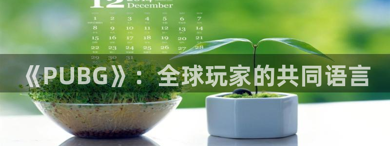 杏悦娱乐是什么平台的：《PUBG》：全球玩家的共同语言