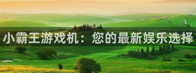杏悦1登录地址：小霸王游戏机：您的最新娱乐选择