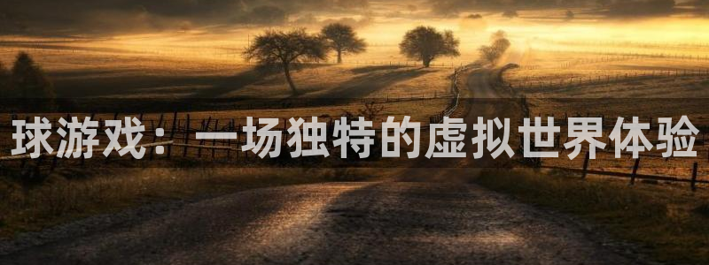 杏悦登录地址：球游戏：一场独特的虚拟世界体验