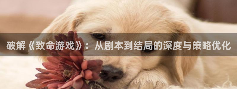 杏悦是什么平台的主播：破解《致命游戏》：从剧本到结局的深度与