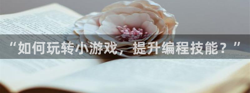 杏悦娱乐是什么平台播放：“如何玩转小游戏，提升编程技能？”
